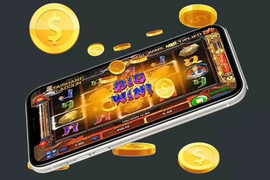 sv339